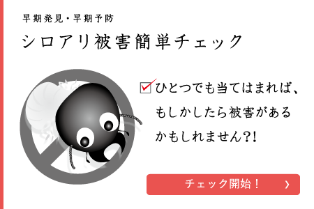 top_example_damage