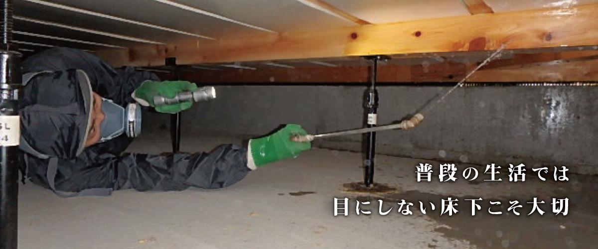top_main02