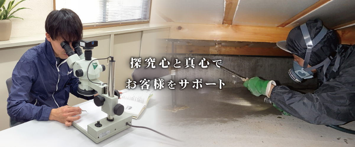 top_main03