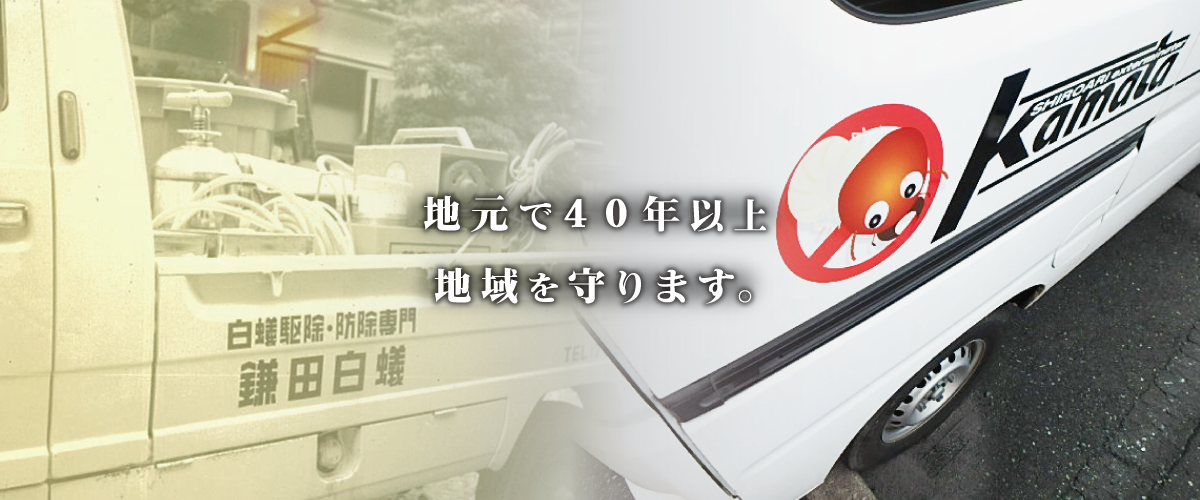 top_main03