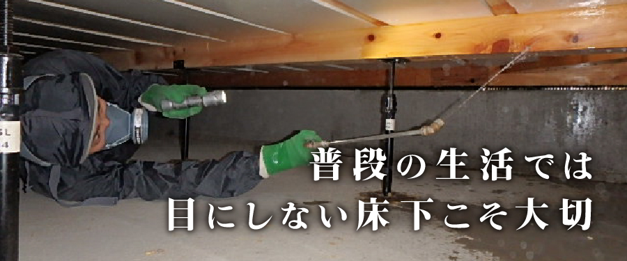 top_main02