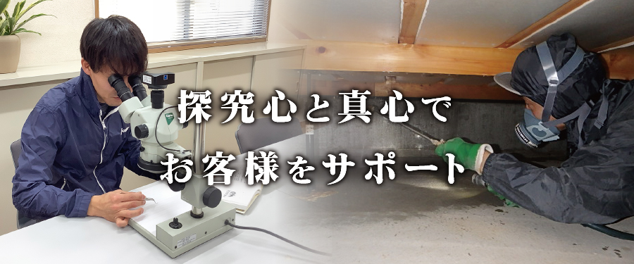 top_main03