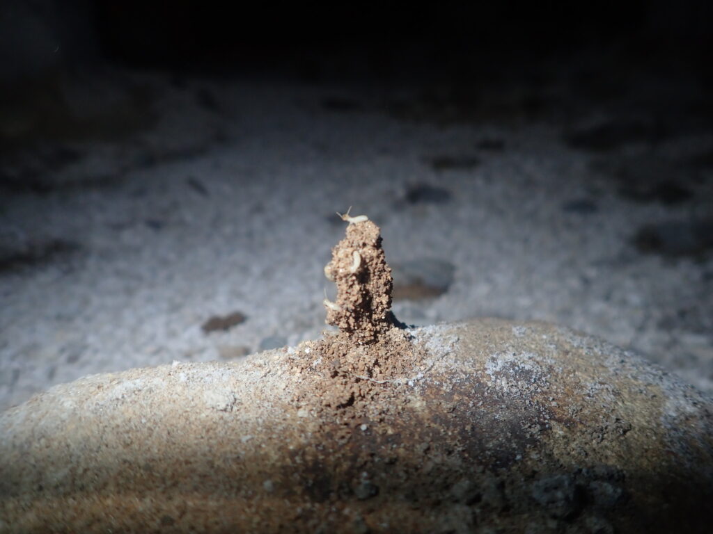 山登り？