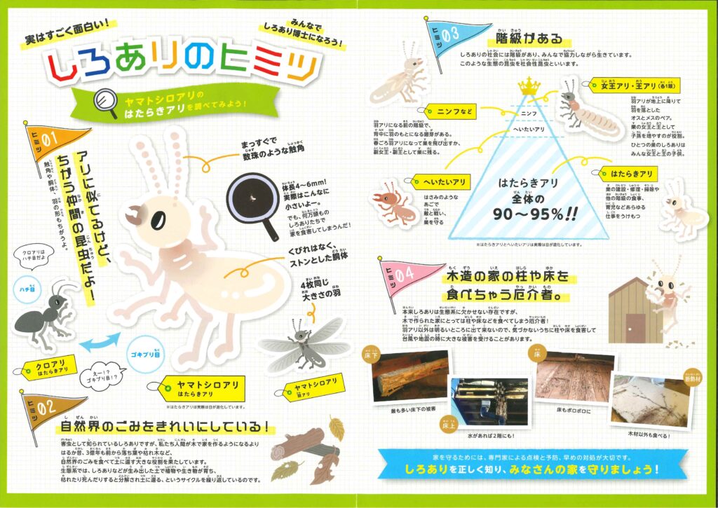 しろありのヒ・ミ・ツ